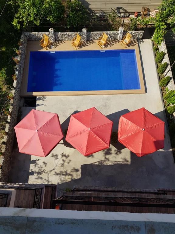 Vizitori Hotel room 2